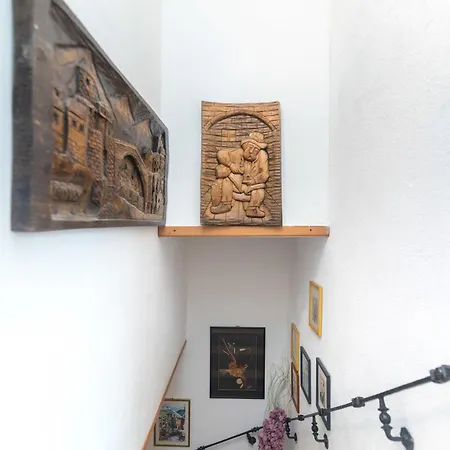 House Zeljko